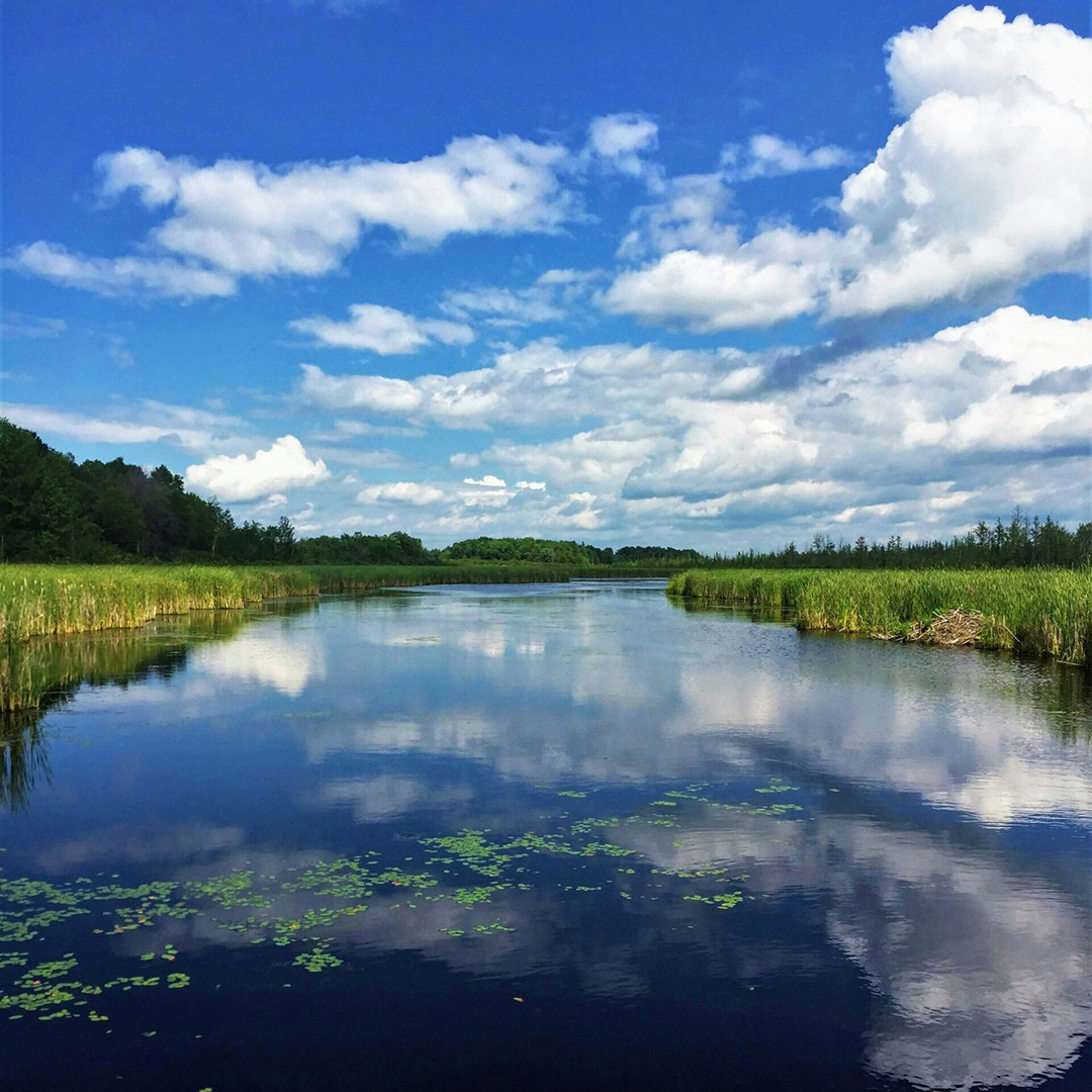 The Green Belt